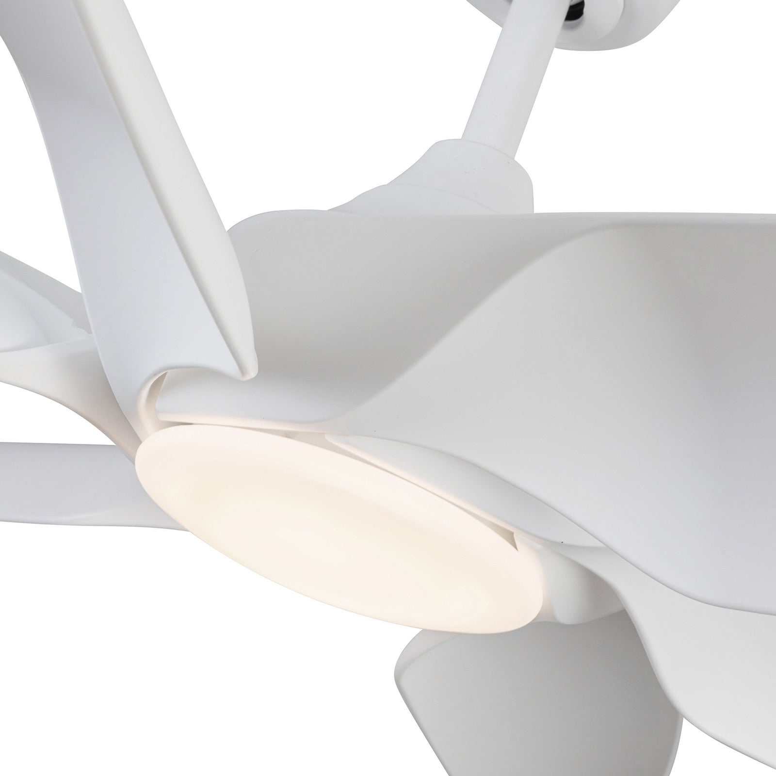 Coronado LED Ceiling Fan in Detail.