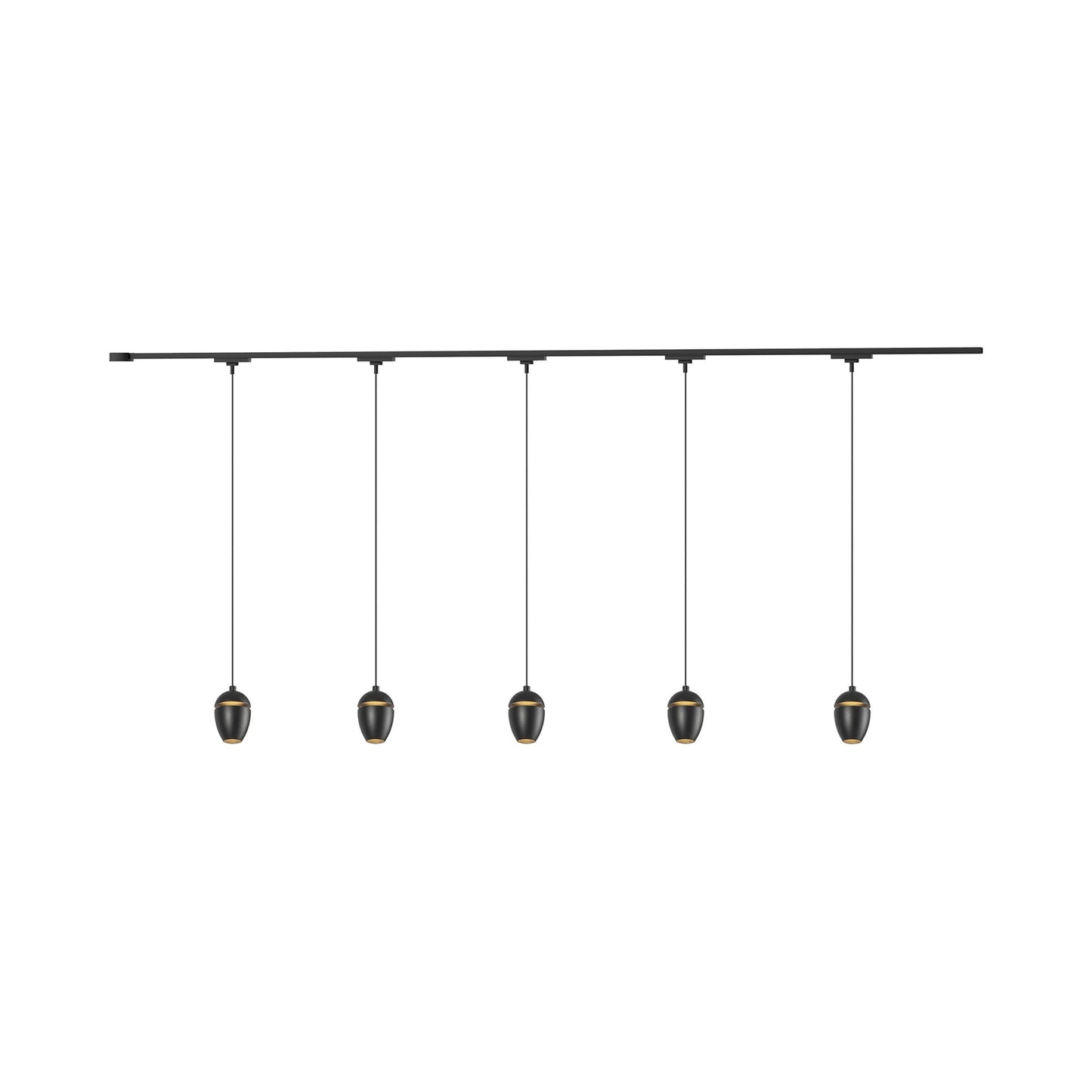Eloa Trilo Track Multi Light LED Pendant Light in Black (5-Head).
