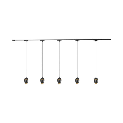 Eloa Trilo Track Multi Light LED Pendant Light in Black (5-Head).