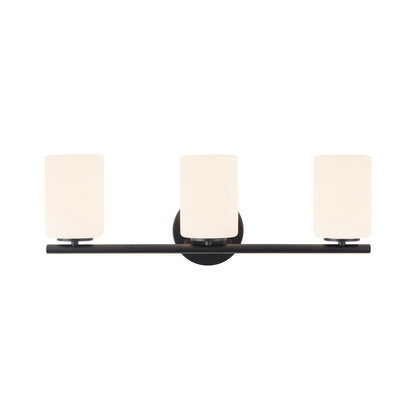 Ezra Bath Vanity Light.