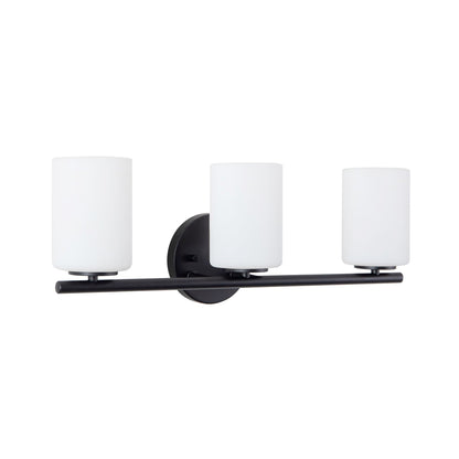 Ezra Bath Vanity Light in Detail.