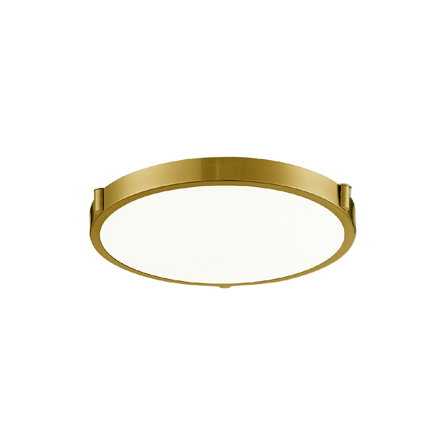 Floyd LED Flush Mount Ceiling Light.