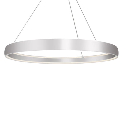 Halo LED Pendant Light in Brushed Silver (X-Large).