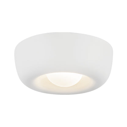 Hayden LED Flush Mount Ceiling Light.