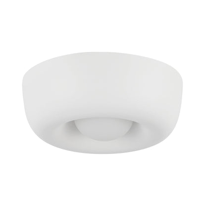 Hayden LED Flush Mount Ceiling Light in Detail.