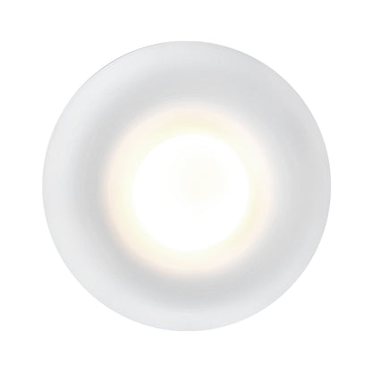 Hayden LED Flush Mount Ceiling Light in Detail.
