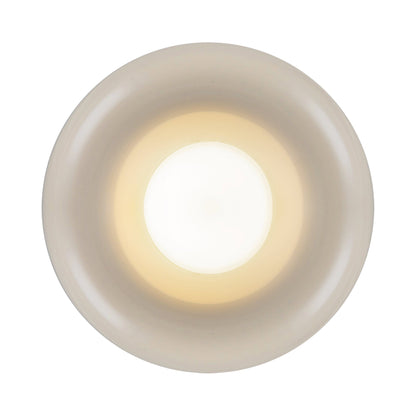 Hayden LED Flush Mount Ceiling Light in Detail.