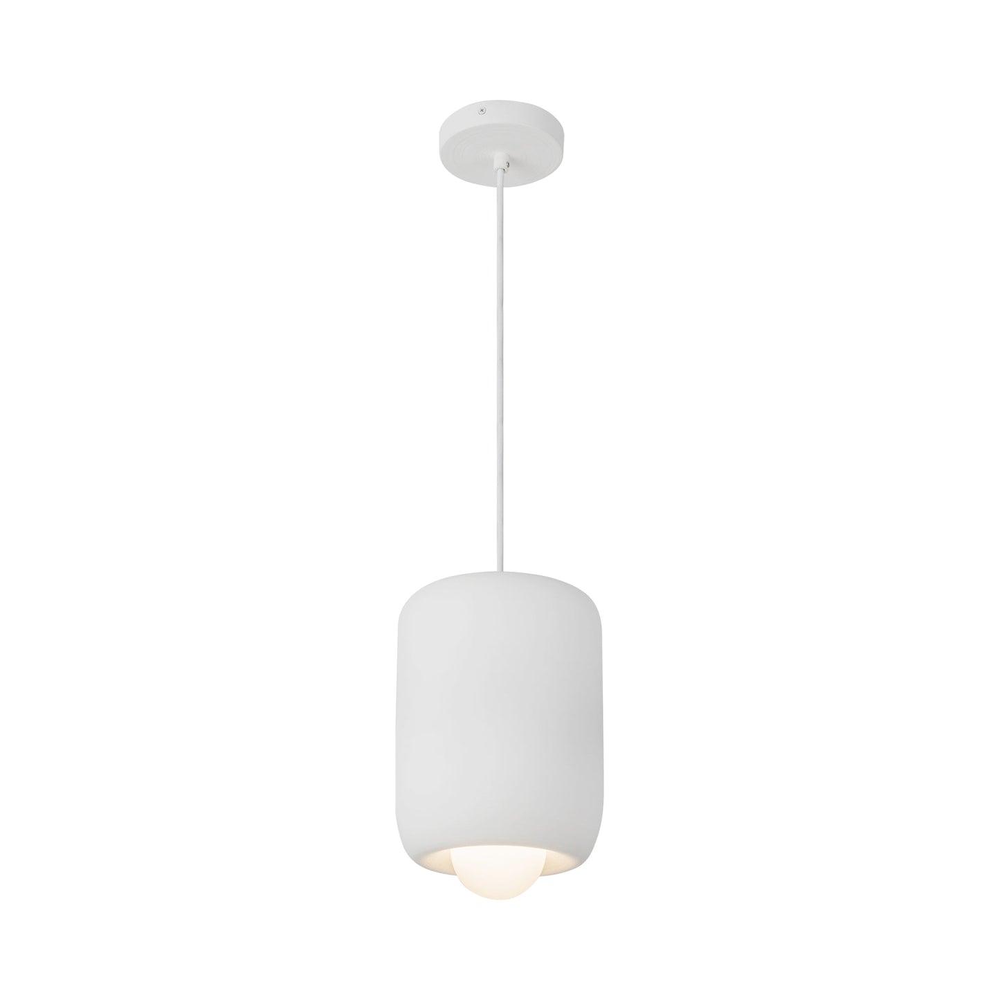Hayden LED Pendant Light.