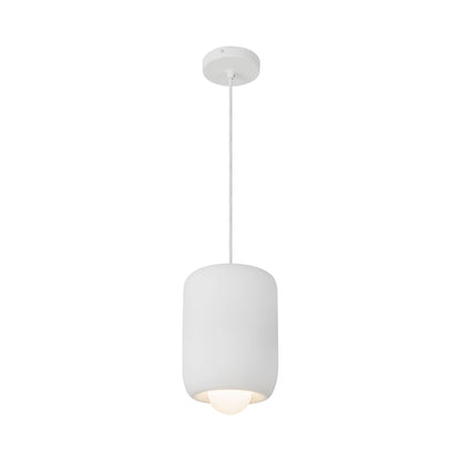 Hayden LED Pendant Light.