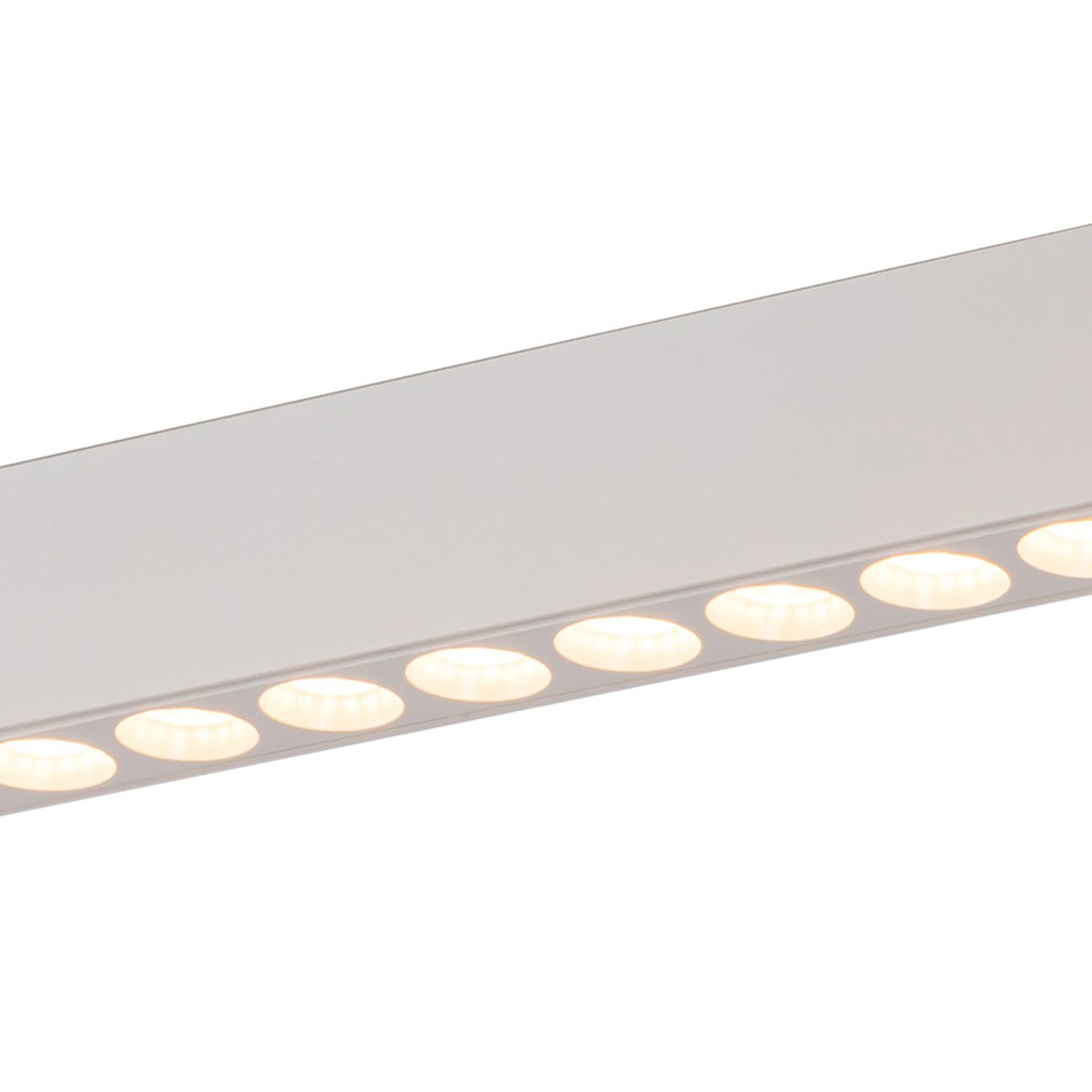 Holo LED Track Light in Detail.