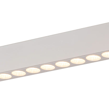 Holo LED Track Light in Detail.