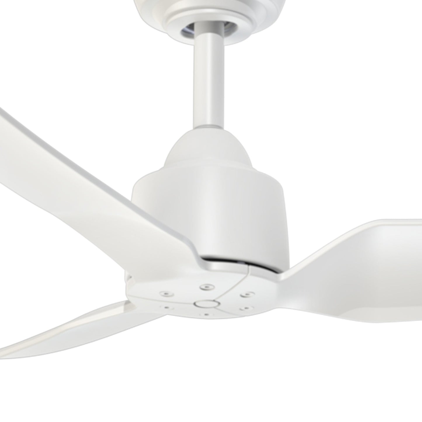 Hugo Outdoor Ceiling Fan in Detail.