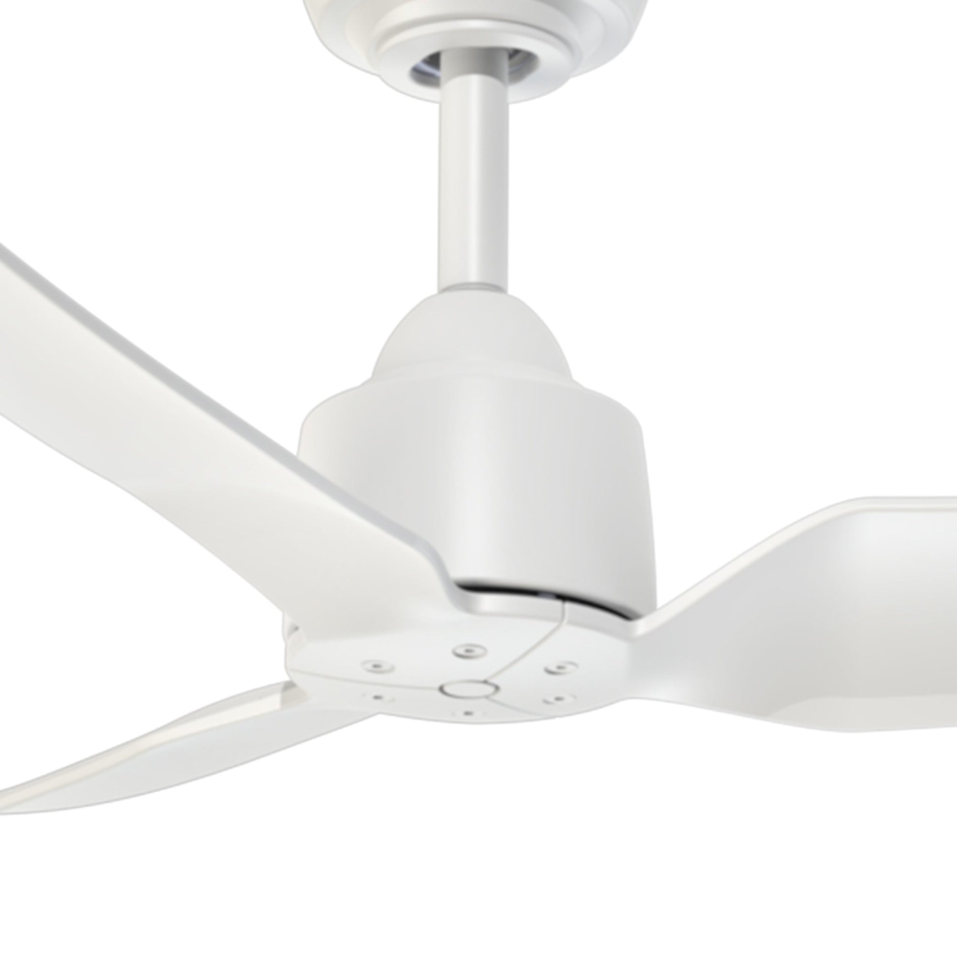 Hugo Outdoor Ceiling Fan in Detail.