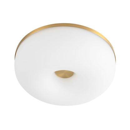 Jada LED Flush Mount Ceiling Light in Detail.