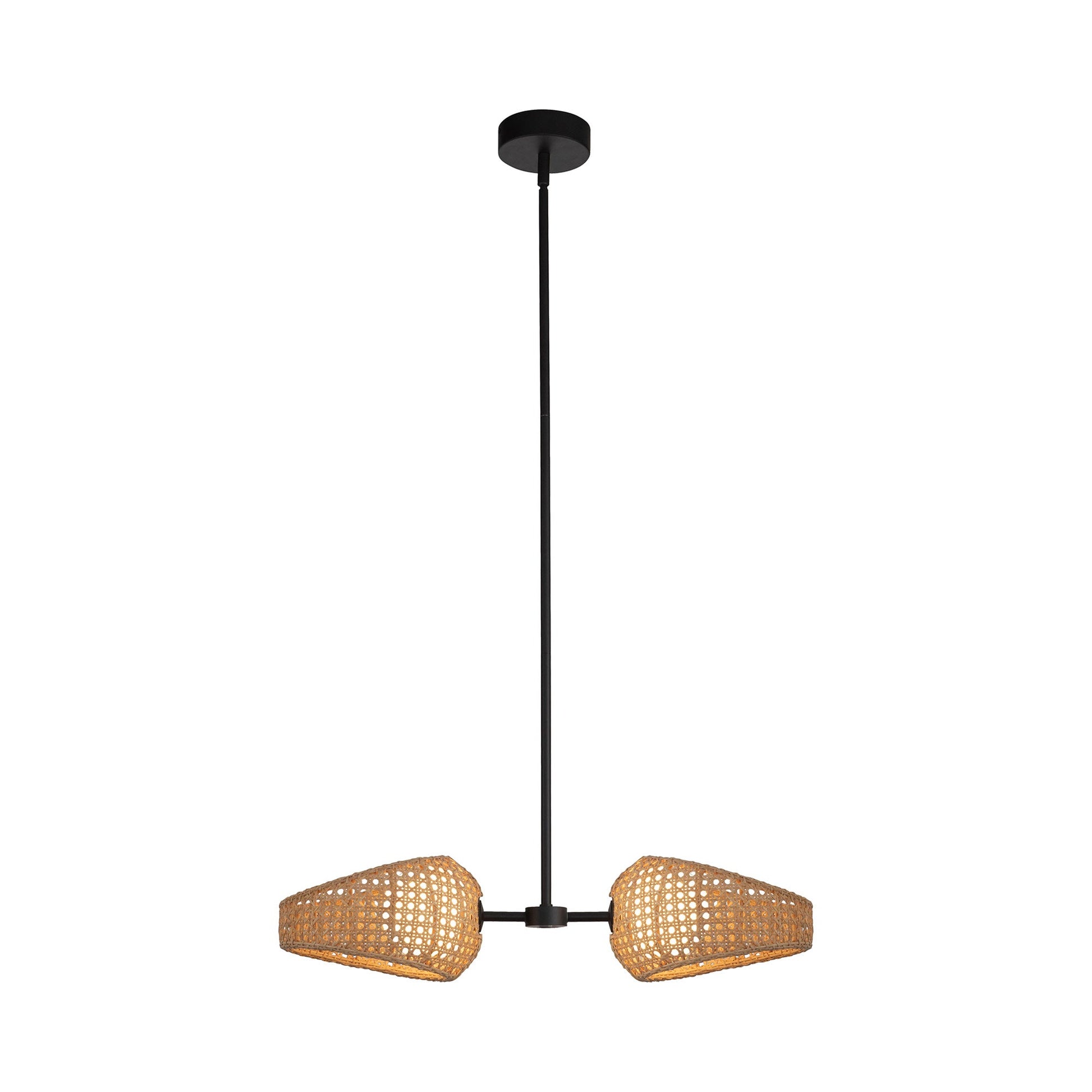 Lanai LED Pendant Light in 2-Light.