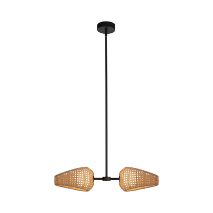 Lanai LED Pendant Light in 2-Light.
