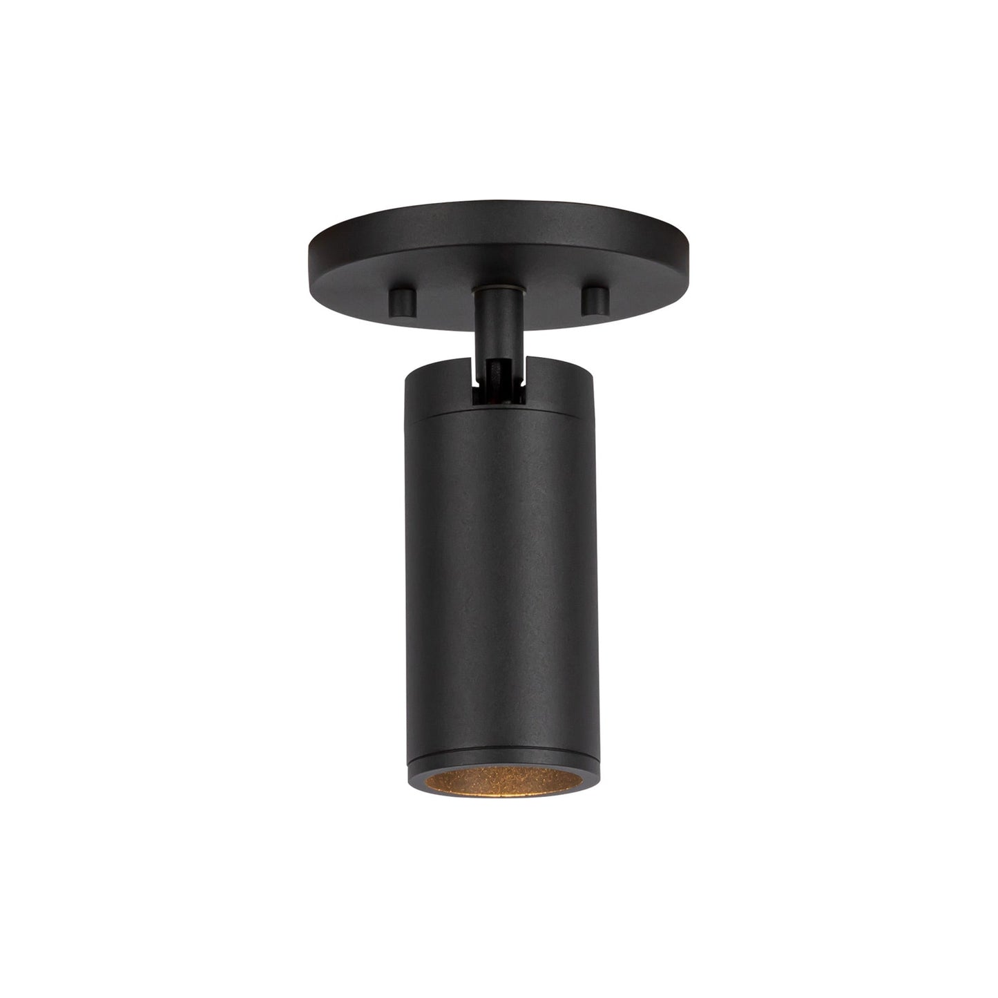 Lorna LED Adjustable Flush Mount Ceiling Light.