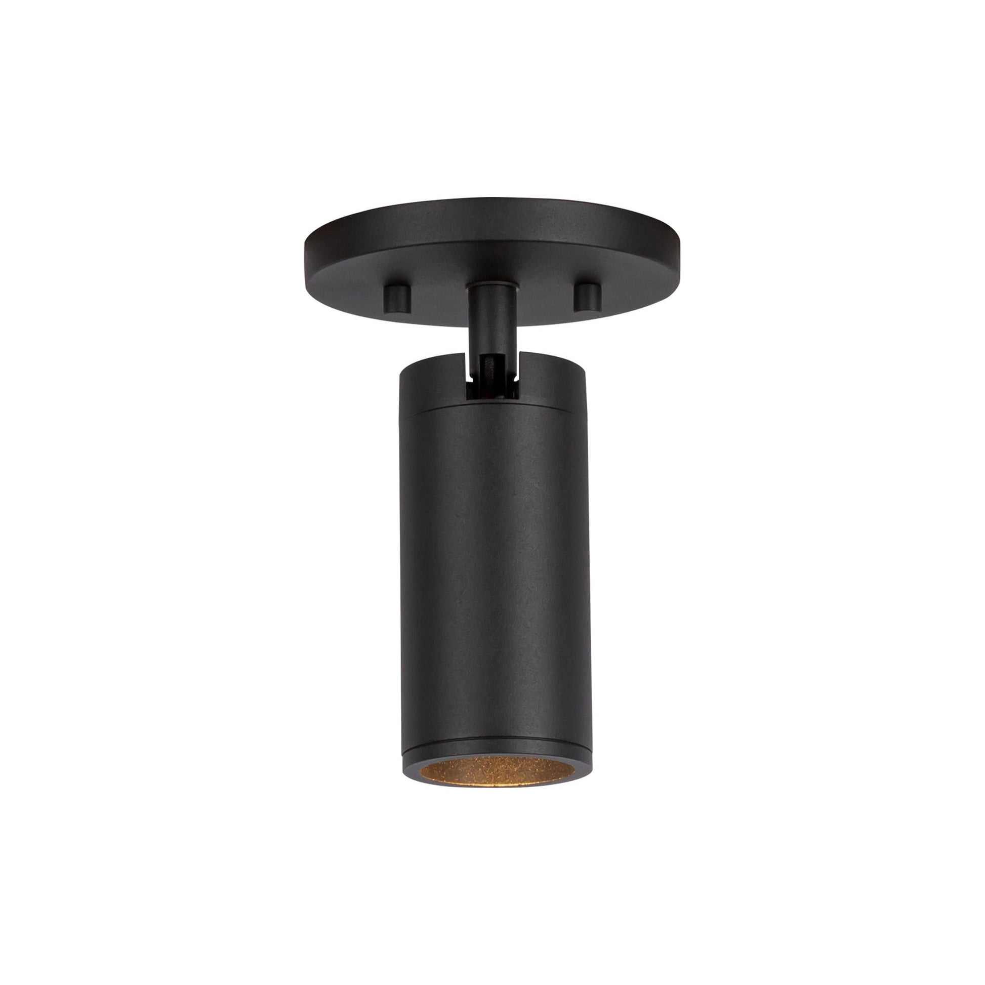 Lorna LED Adjustable Flush Mount Ceiling Light.