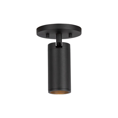Lorna LED Adjustable Flush Mount Ceiling Light.