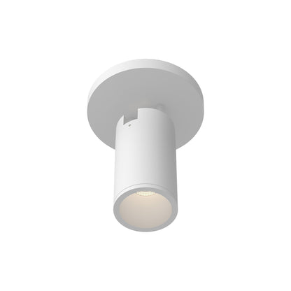 Lorna LED Adjustable Flush Mount Ceiling Light in White (8W/2.25-Inch).