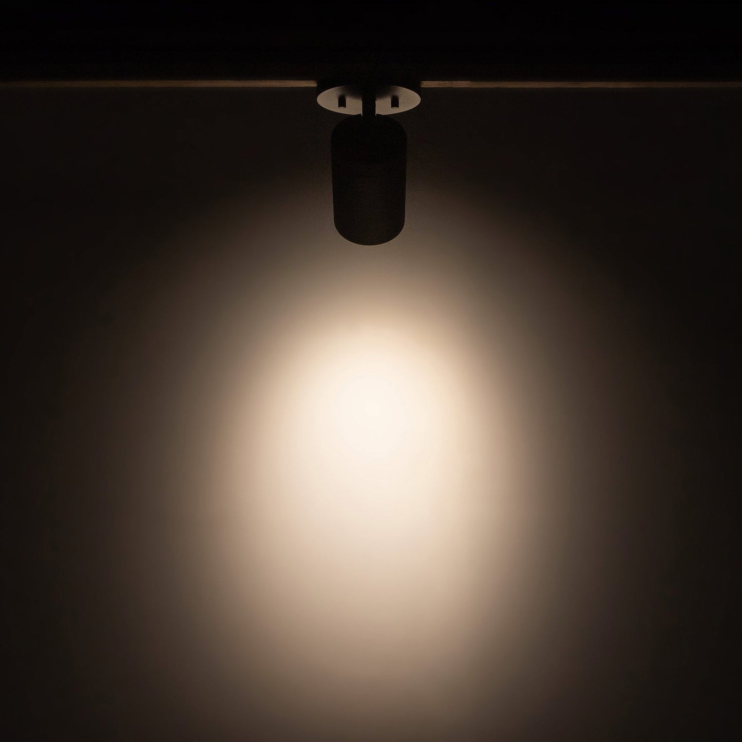 Lorna LED Adjustable Flush Mount Ceiling Light in Detail.