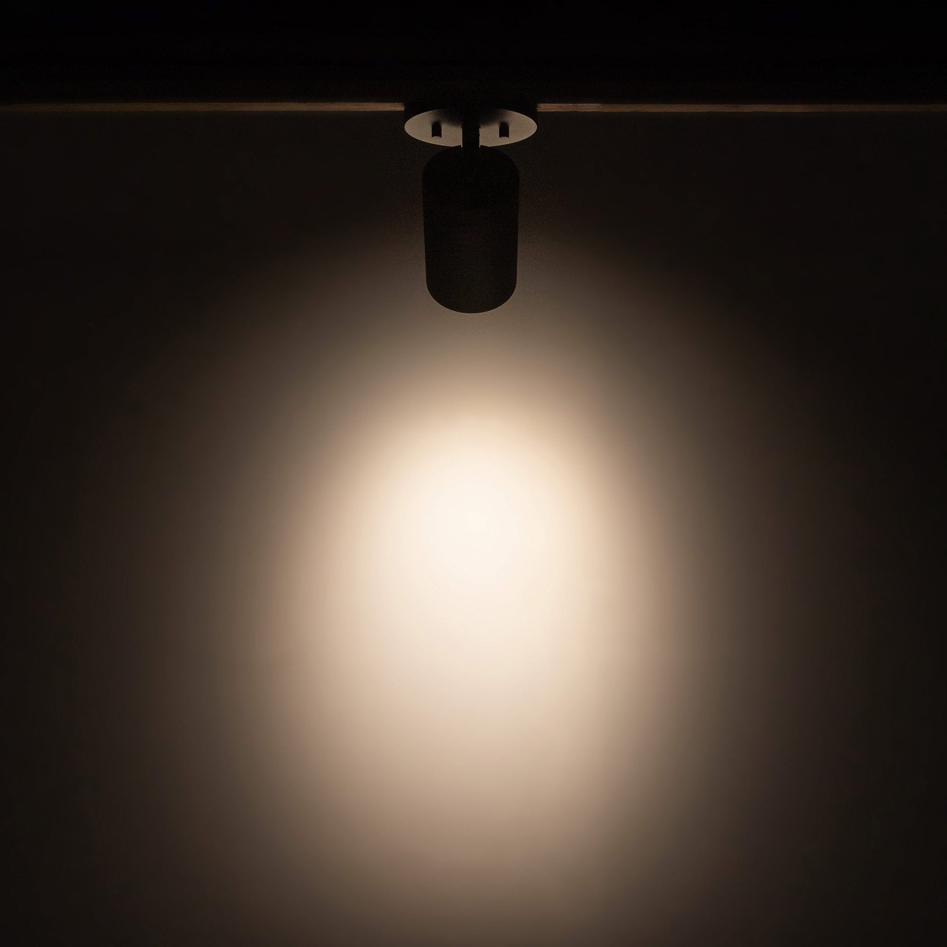 Lorna LED Adjustable Flush Mount Ceiling Light in Detail.