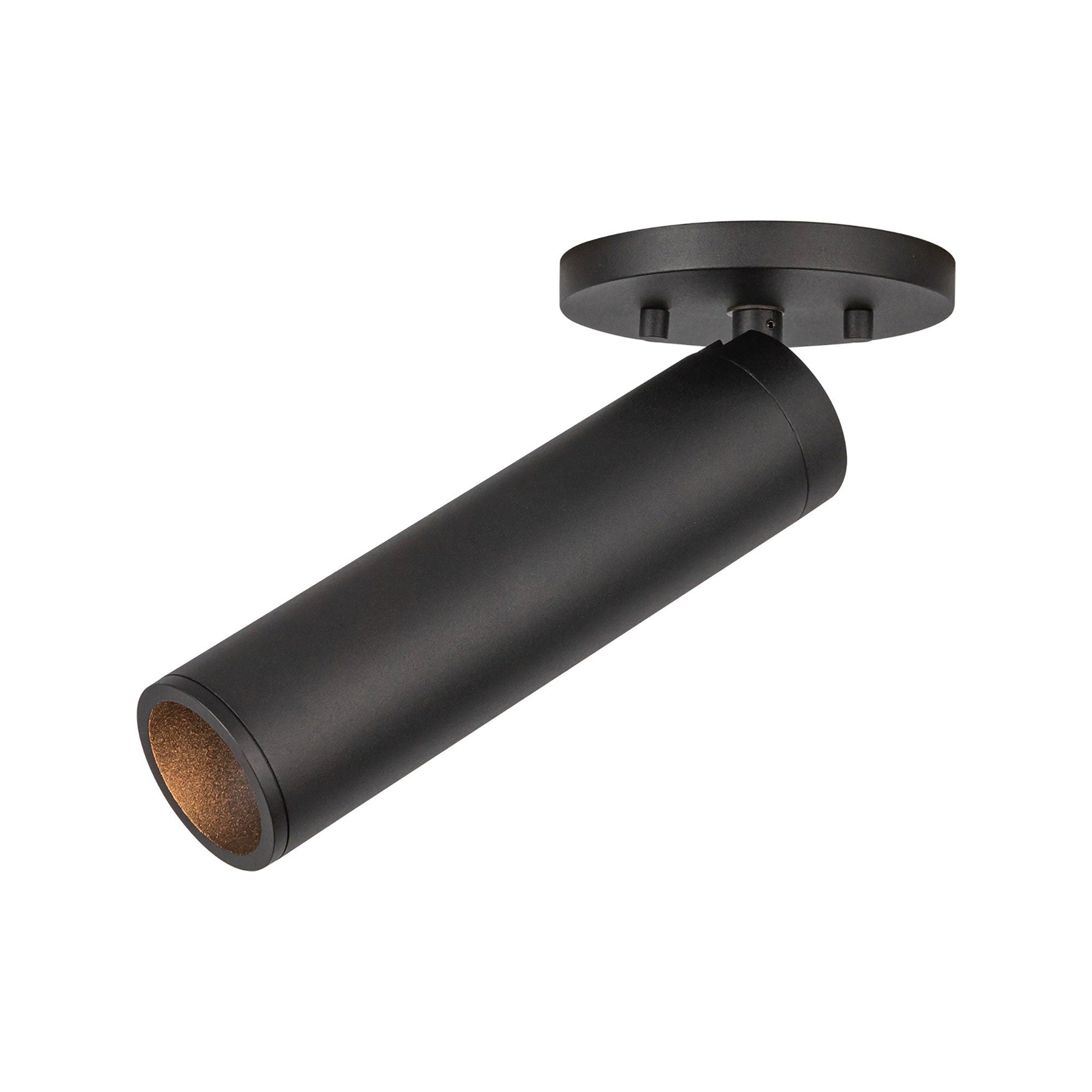 Lorna LED Adjustable Flush Mount Ceiling Light in Detail.