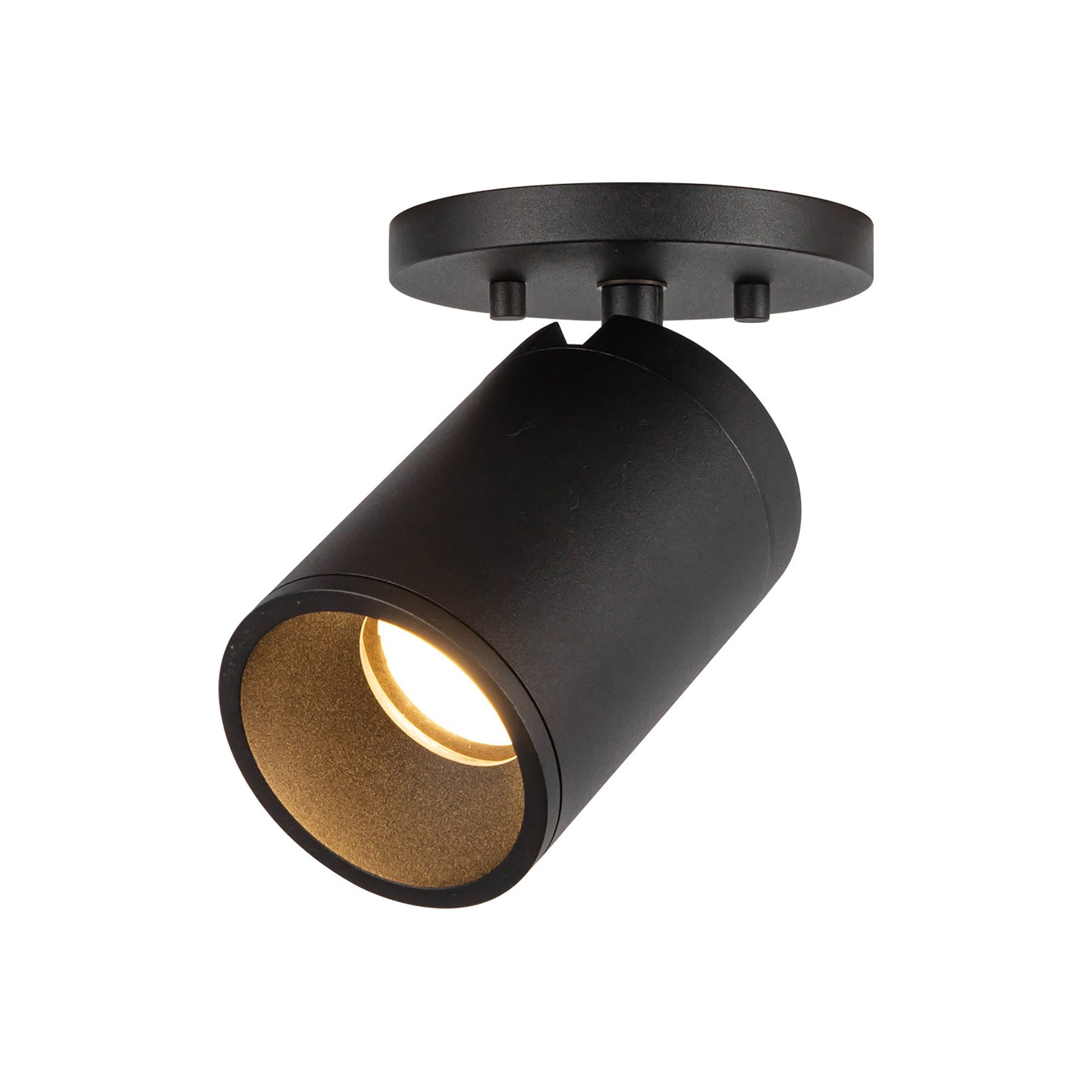 Lorna LED Adjustable Flush Mount Ceiling Light in Detail.
