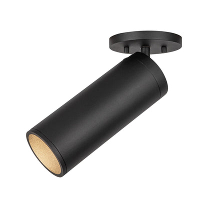 Lorna LED Adjustable Flush Mount Ceiling Light in Detail.