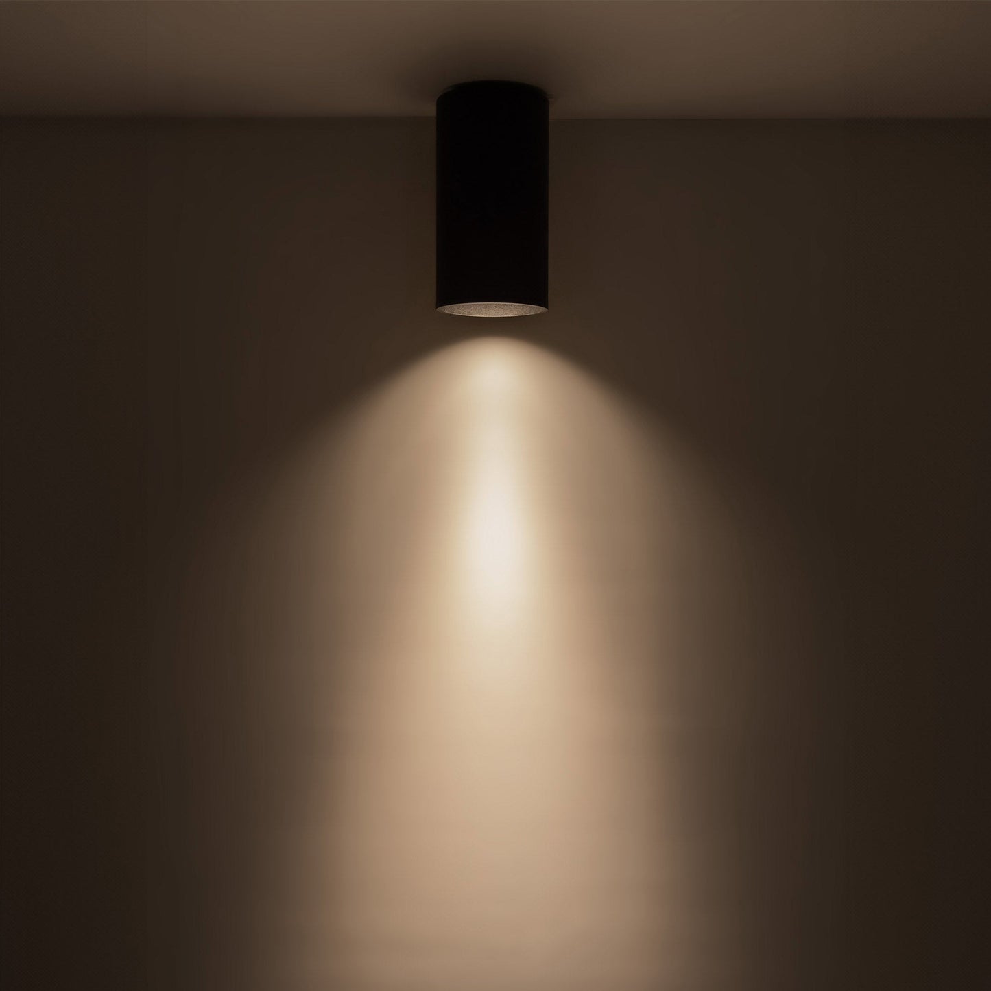 Lorna LED Flush Mount Ceiling Light in Detail.