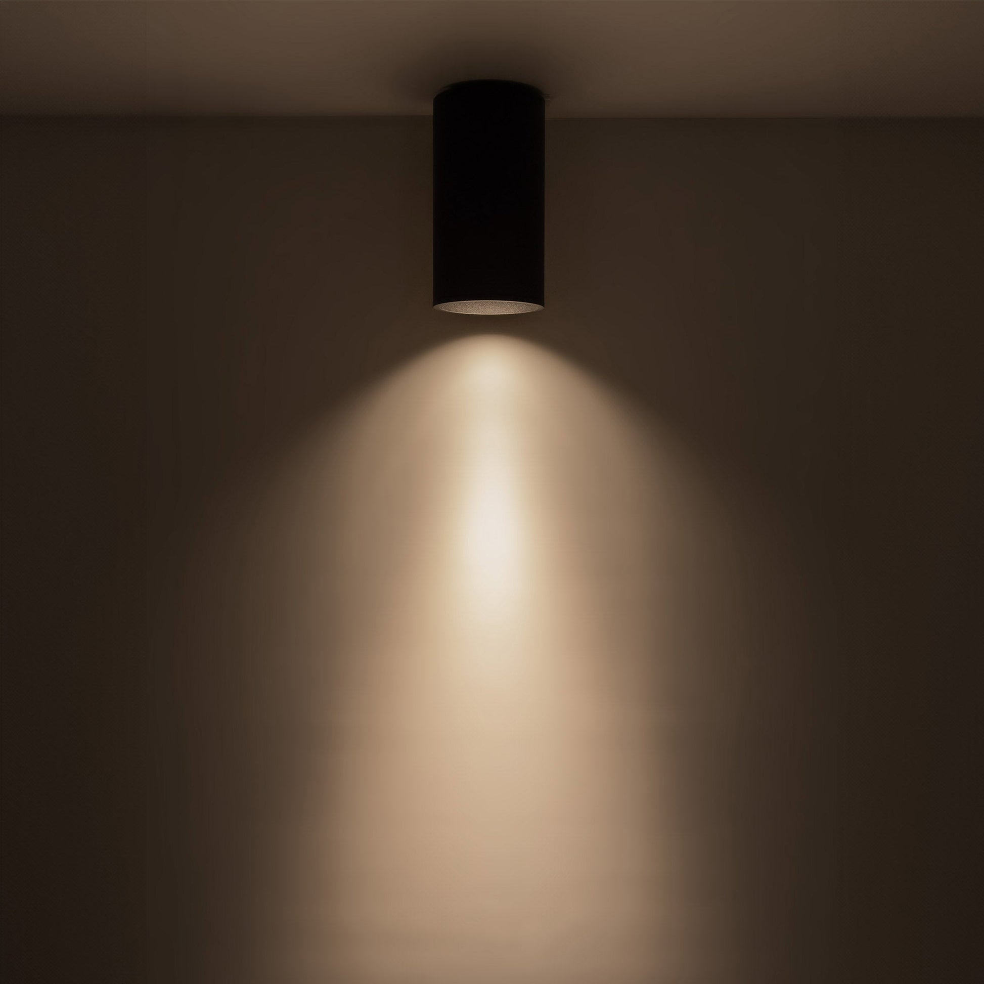 Lorna LED Flush Mount Ceiling Light in Detail.