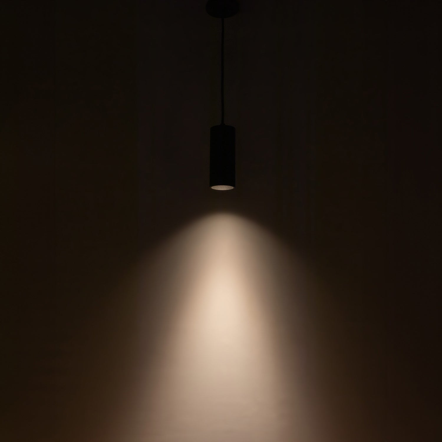 Lorna LED Pendant Light in Detail.