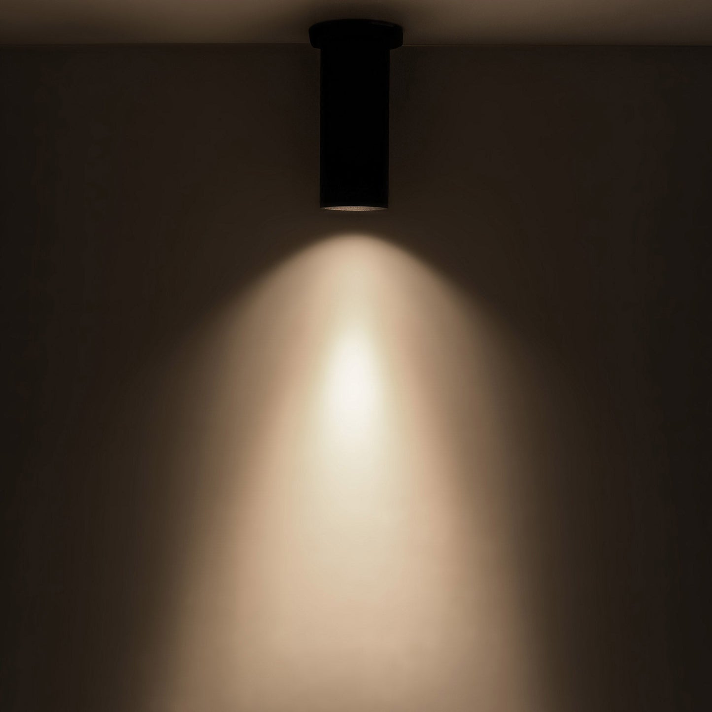 Lorna LED Surface Mount Ceiling Light in Detail.