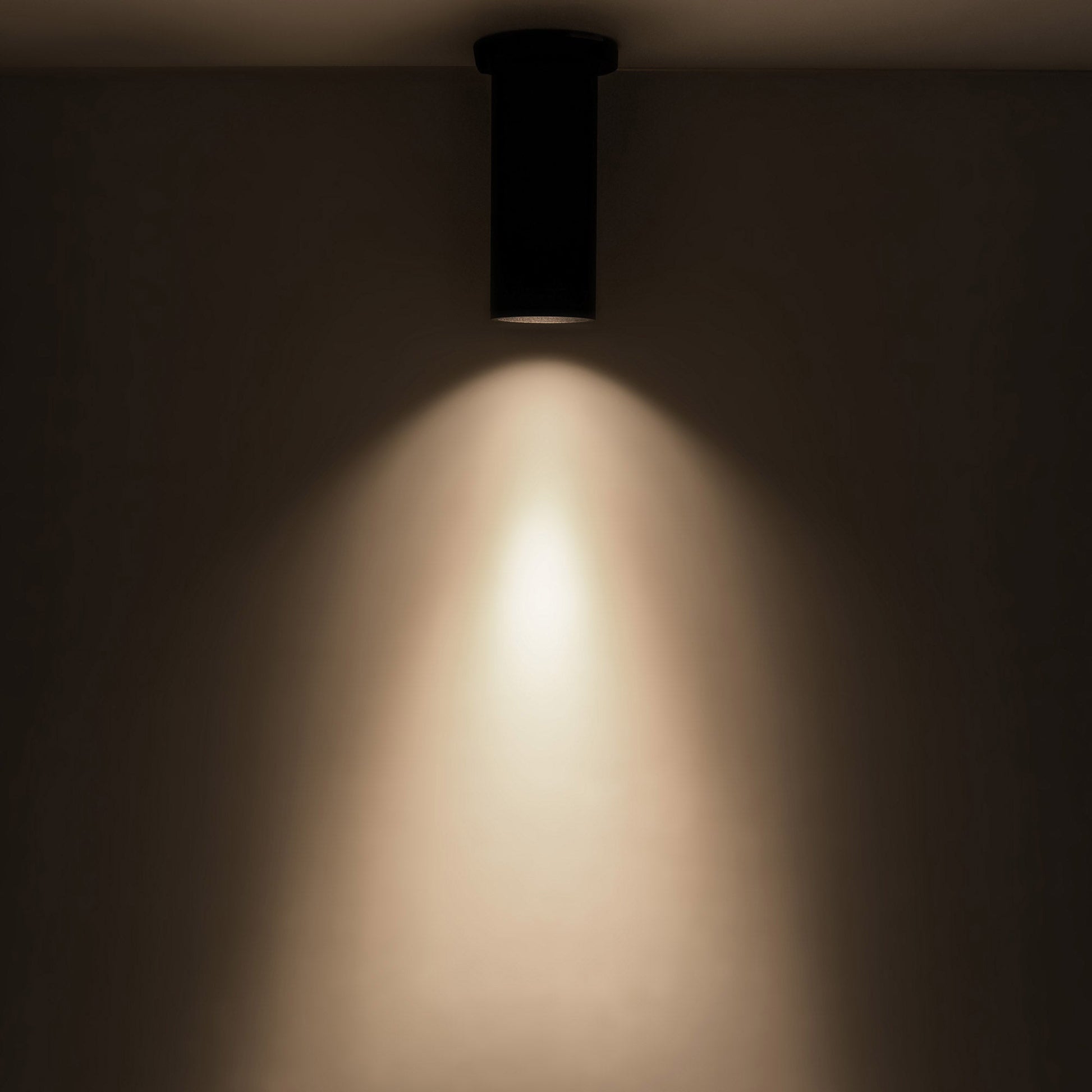 Lorna LED Surface Mount Ceiling Light in Detail.