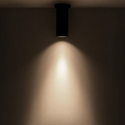 Lorna LED Surface Mount Ceiling Light in Detail.