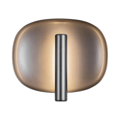 Lustre LED Wall Light in Space Gray.