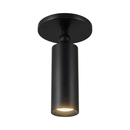 Mason Adjustable LED Semi Flush Mount Ceiling Light.
