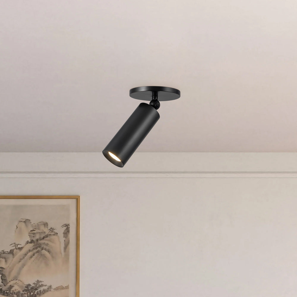 Mason Adjustable LED Semi Flush Mount Ceiling Light in Detail.