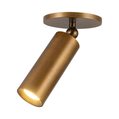 Mason Adjustable LED Semi Flush Mount Ceiling Light in Detail.