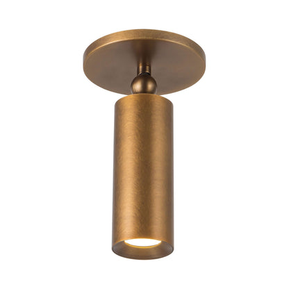 Mason Adjustable LED Semi Flush Mount Ceiling Light in Detail.