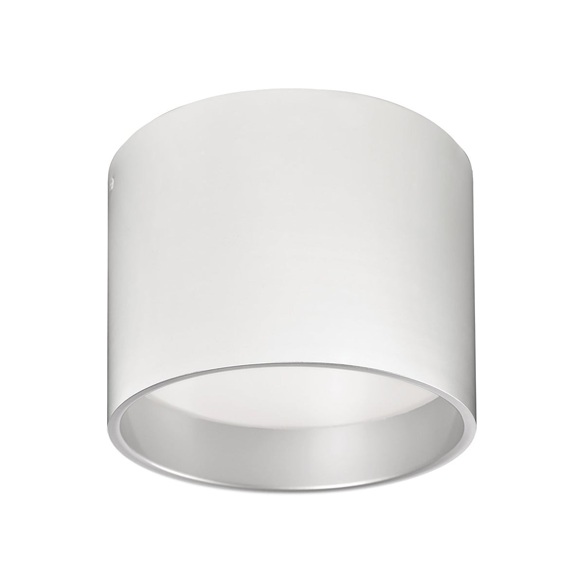 Mousinni LED Flush Mount Ceiling Light in White (Small).