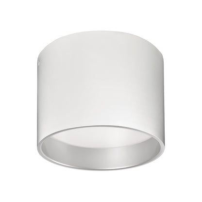 Mousinni LED Flush Mount Ceiling Light in White (Small).