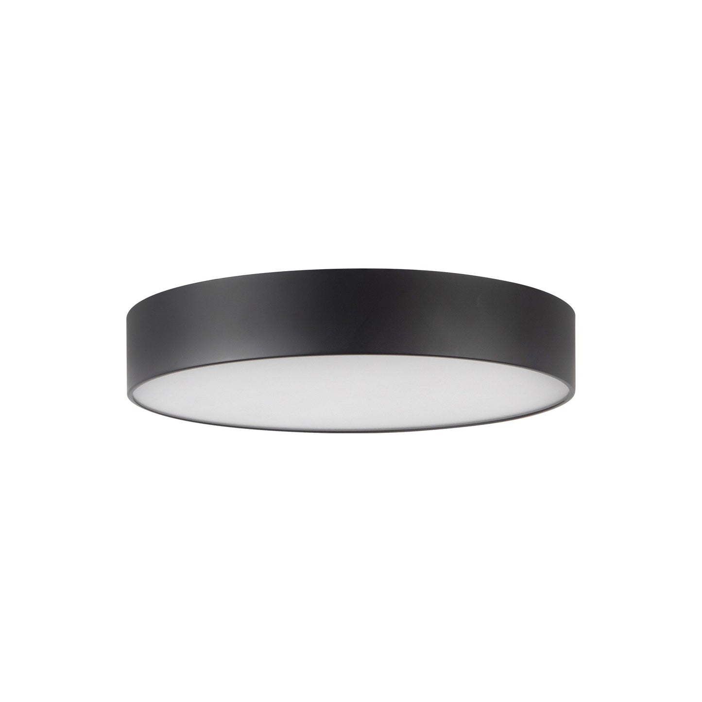 Musa LED Flush Mount Ceiling Light in Detail.