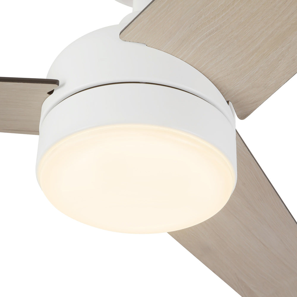 Nash LED Ceiling Fan in Detail.