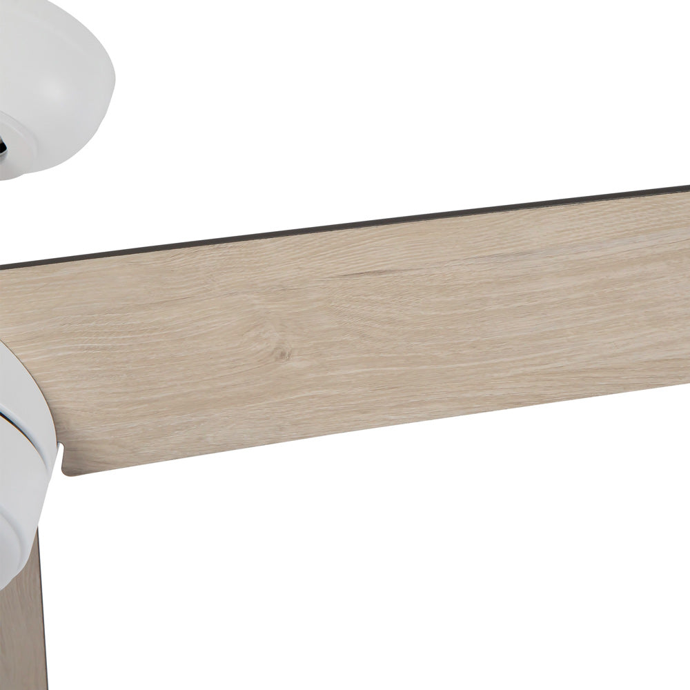 Nash LED Ceiling Fan in Detail.
