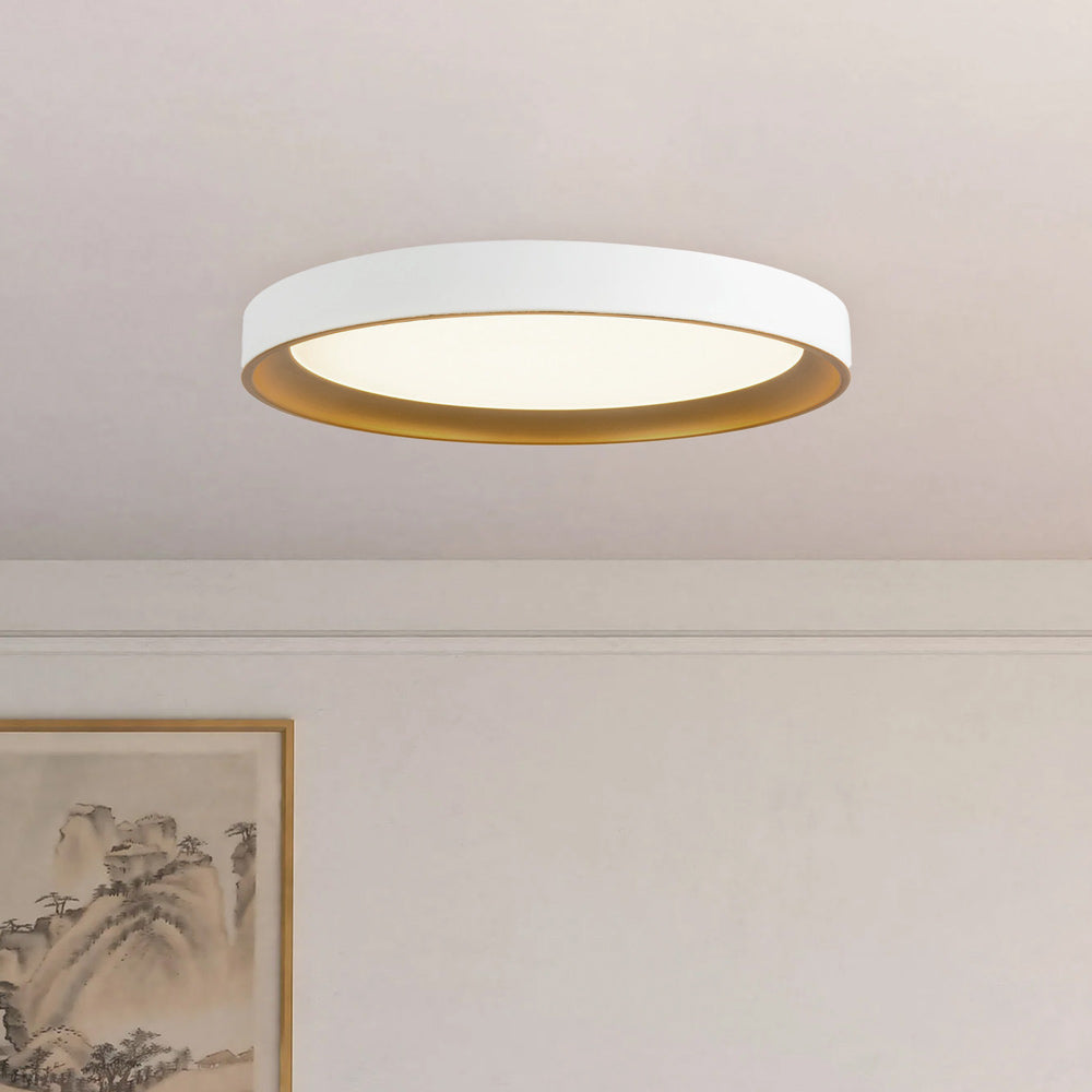 Nix LED Flush Mount Ceiling Light in Detail.