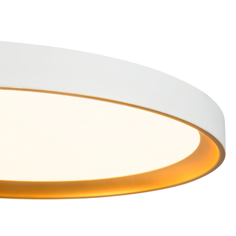 Nix LED Flush Mount Ceiling Light in Detail.