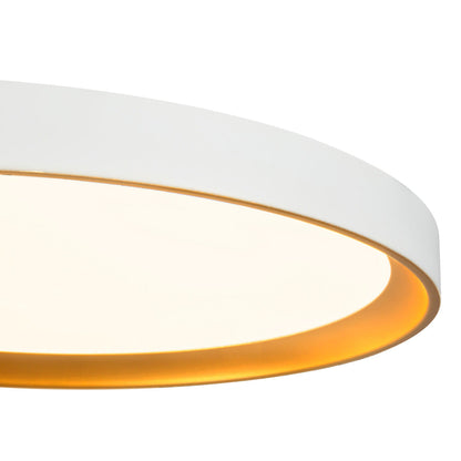 Nix LED Flush Mount Ceiling Light in Detail.