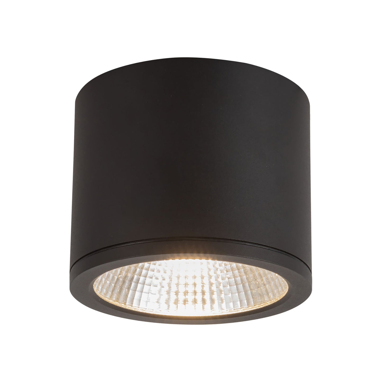Nordic Outdoor LED Flush Mount Ceiling Light in Black (4-Inch/5-Inch).