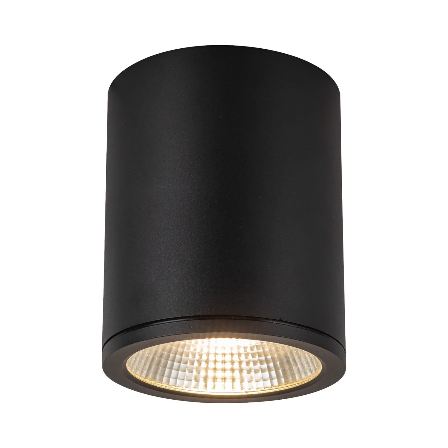 Nordic Outdoor LED Flush Mount Ceiling Light in Black (6-Inch/5-Inch).